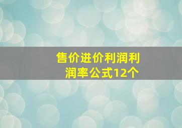 售价进价利润利润率公式12个