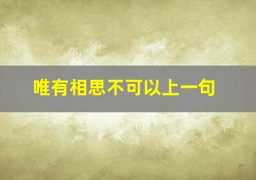 唯有相思不可以上一句