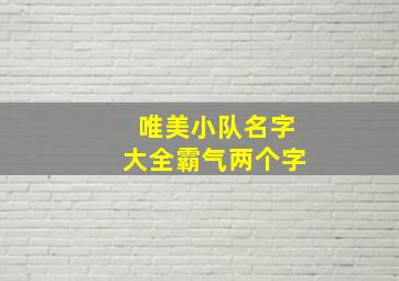 唯美小队名字大全霸气两个字