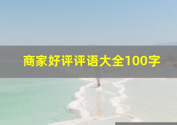 商家好评评语大全100字