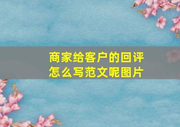 商家给客户的回评怎么写范文呢图片