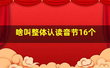 啥叫整体认读音节16个