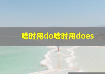 啥时用do啥时用does