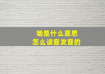 啮是什么意思怎么读音发音的