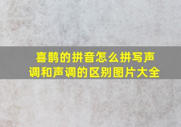 喜鹊的拼音怎么拼写声调和声调的区别图片大全