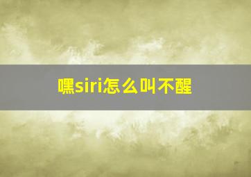 嘿siri怎么叫不醒