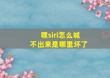 嘿siri怎么喊不出来是哪里坏了