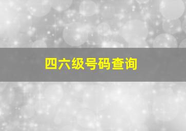 四六级号码查询