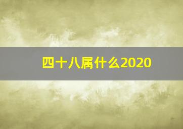 四十八属什么2020