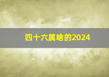 四十六属啥的2024