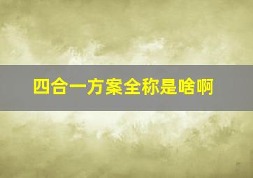 四合一方案全称是啥啊