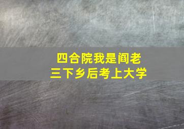 四合院我是阎老三下乡后考上大学