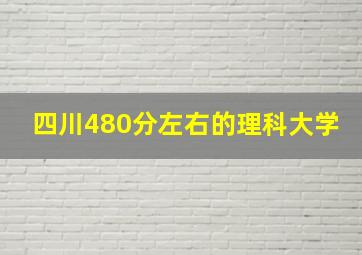 四川480分左右的理科大学