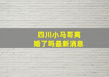 四川小马哥离婚了吗最新消息