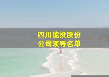 四川能投股份公司领导名单