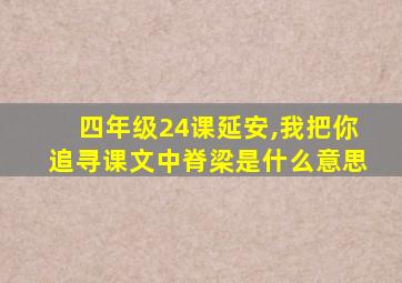 四年级24课延安,我把你追寻课文中脊梁是什么意思