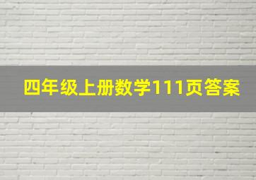 四年级上册数学111页答案