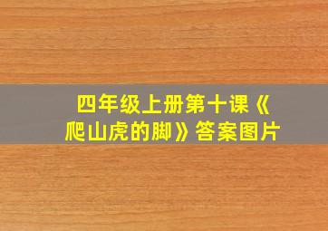 四年级上册第十课《爬山虎的脚》答案图片