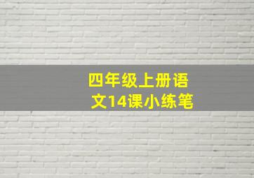 四年级上册语文14课小练笔