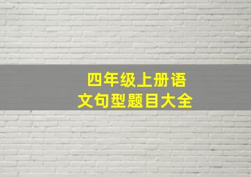 四年级上册语文句型题目大全