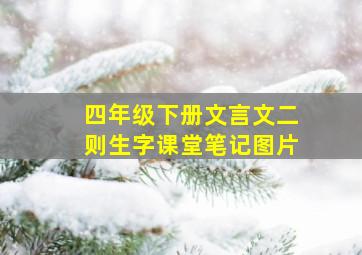 四年级下册文言文二则生字课堂笔记图片