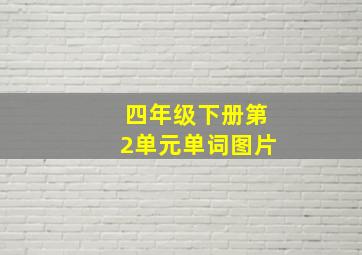 四年级下册第2单元单词图片