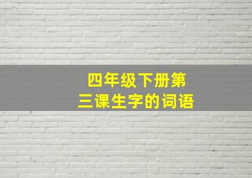 四年级下册第三课生字的词语