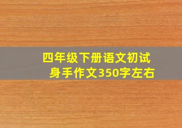 四年级下册语文初试身手作文350字左右