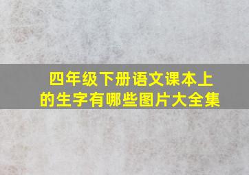 四年级下册语文课本上的生字有哪些图片大全集