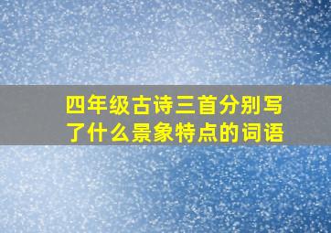 四年级古诗三首分别写了什么景象特点的词语