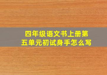 四年级语文书上册第五单元初试身手怎么写