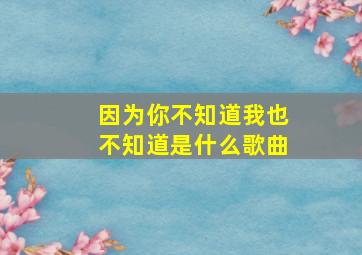 因为你不知道我也不知道是什么歌曲