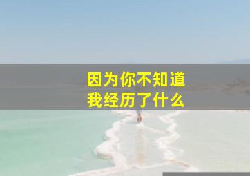 因为你不知道我经历了什么