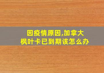 因疫情原因,加拿大枫叶卡已到期该怎么办