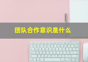 团队合作意识是什么