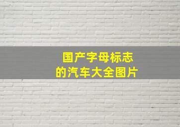 国产字母标志的汽车大全图片