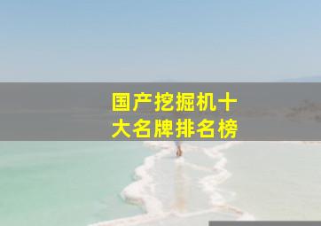 国产挖掘机十大名牌排名榜