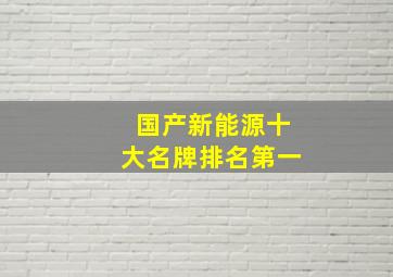 国产新能源十大名牌排名第一