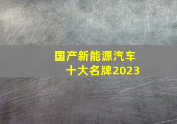 国产新能源汽车十大名牌2023