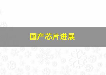 国产芯片进展