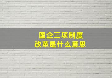 国企三项制度改革是什么意思