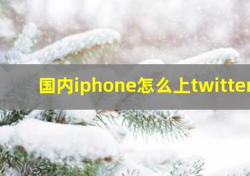 国内iphone怎么上twitter