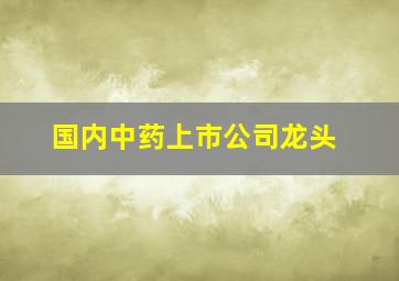 国内中药上市公司龙头