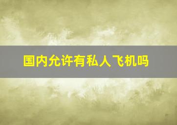 国内允许有私人飞机吗