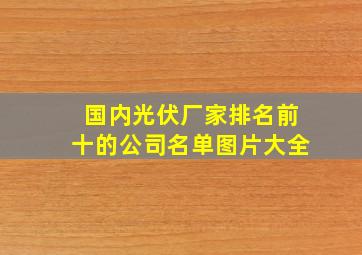 国内光伏厂家排名前十的公司名单图片大全