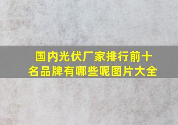 国内光伏厂家排行前十名品牌有哪些呢图片大全