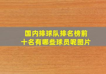 国内排球队排名榜前十名有哪些球员呢图片