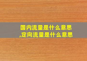 国内流量是什么意思,定向流量是什么意思