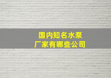 国内知名水泵厂家有哪些公司