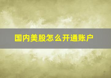 国内美股怎么开通账户